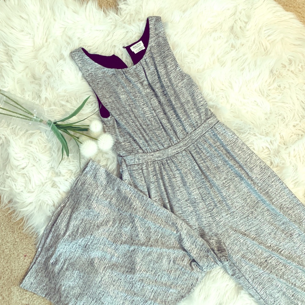Silver Anthropology Jumpsuit